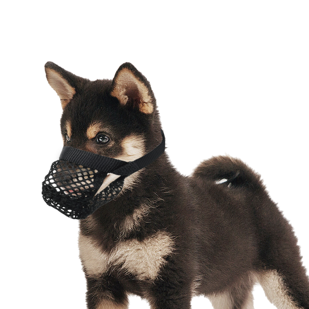 Muzzle for Dogs